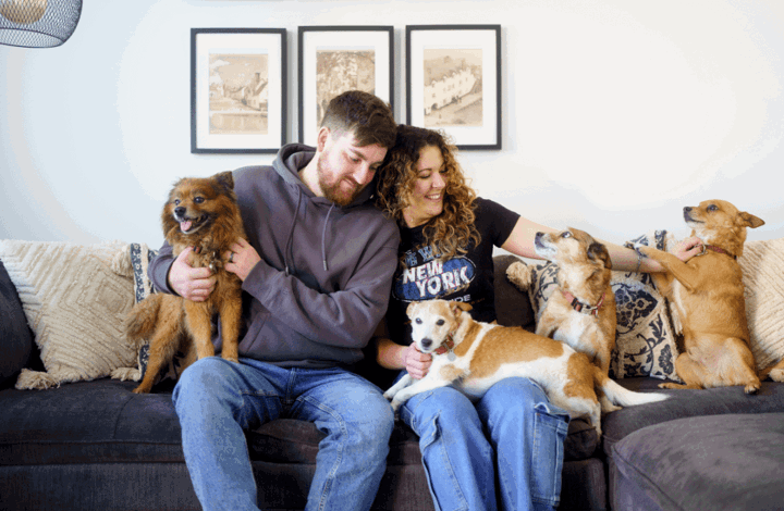Two homeowners in living room with dogs