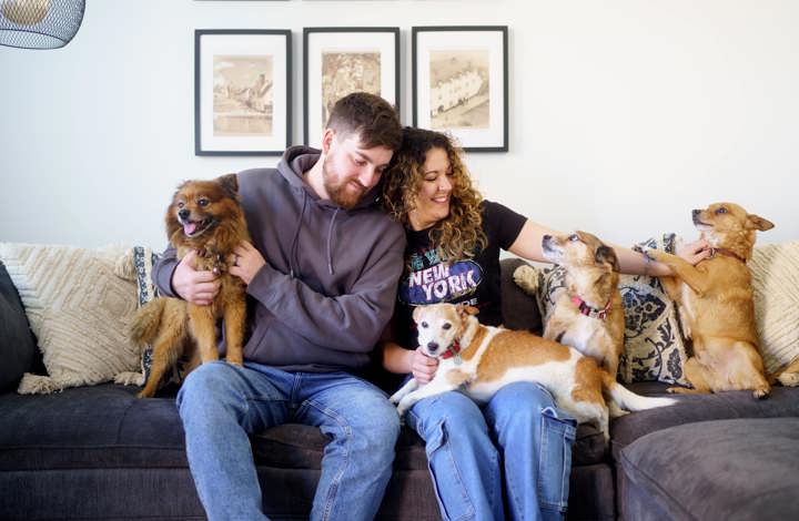 couple sat on their sofa with their four dogs