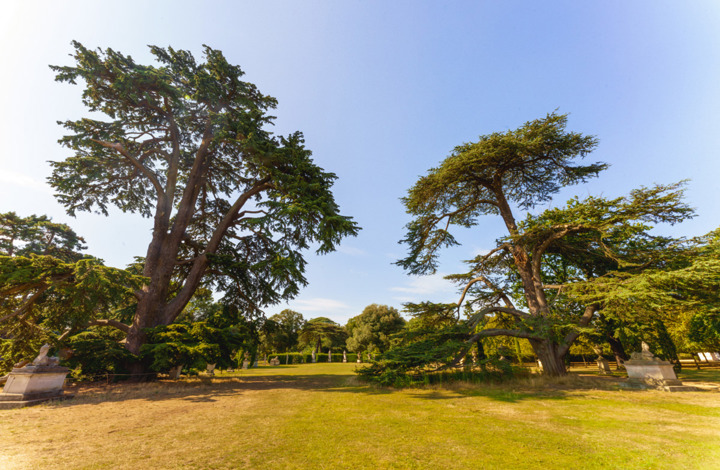 Local Area Photography around Kew and Chiswick